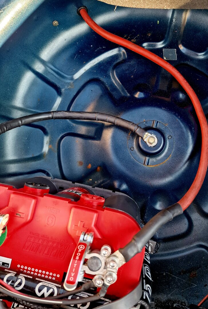 20250429_181117.jpg