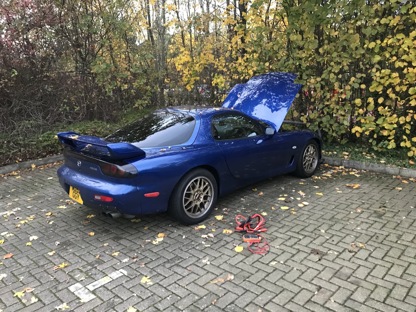 AE95E911-80EA-49C9-AE40-B9D58470DF10.jpeg