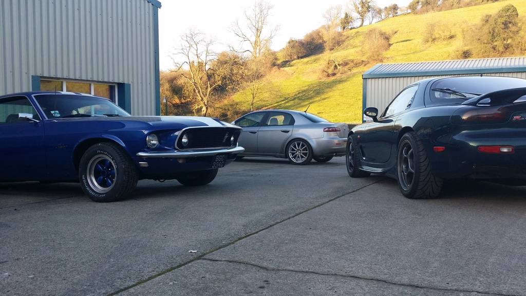 american muscle.jpg