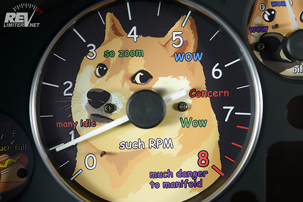 doge-na04.jpg