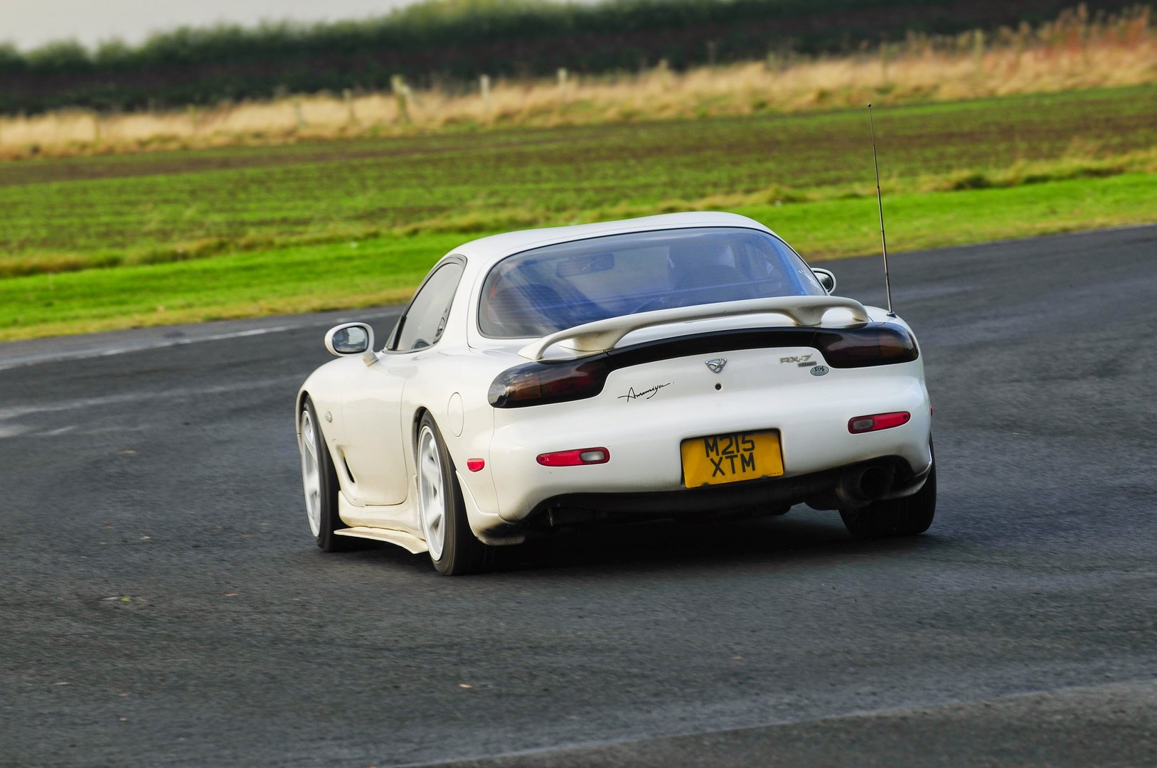 DSC_3521.JPG