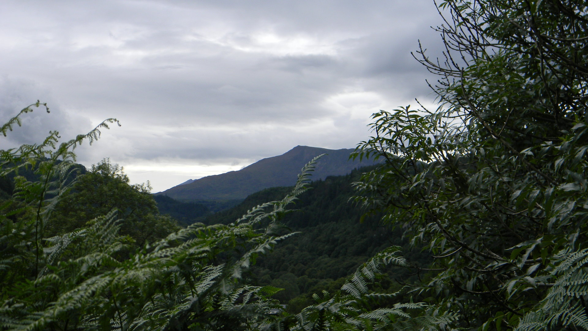 DSCN0896.JPG