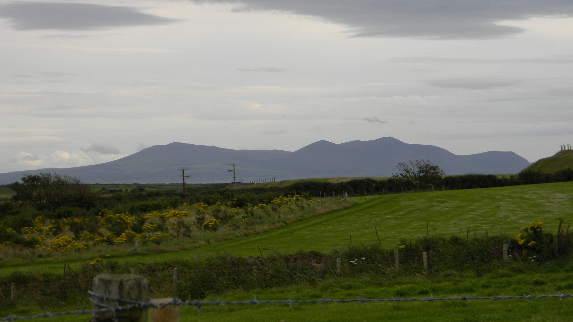 DSCN0902.JPG