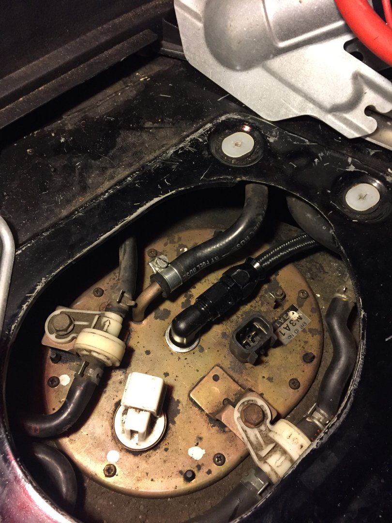 FEF81667-320F-44B1-BAD1-F8064CF51CCD.jpeg