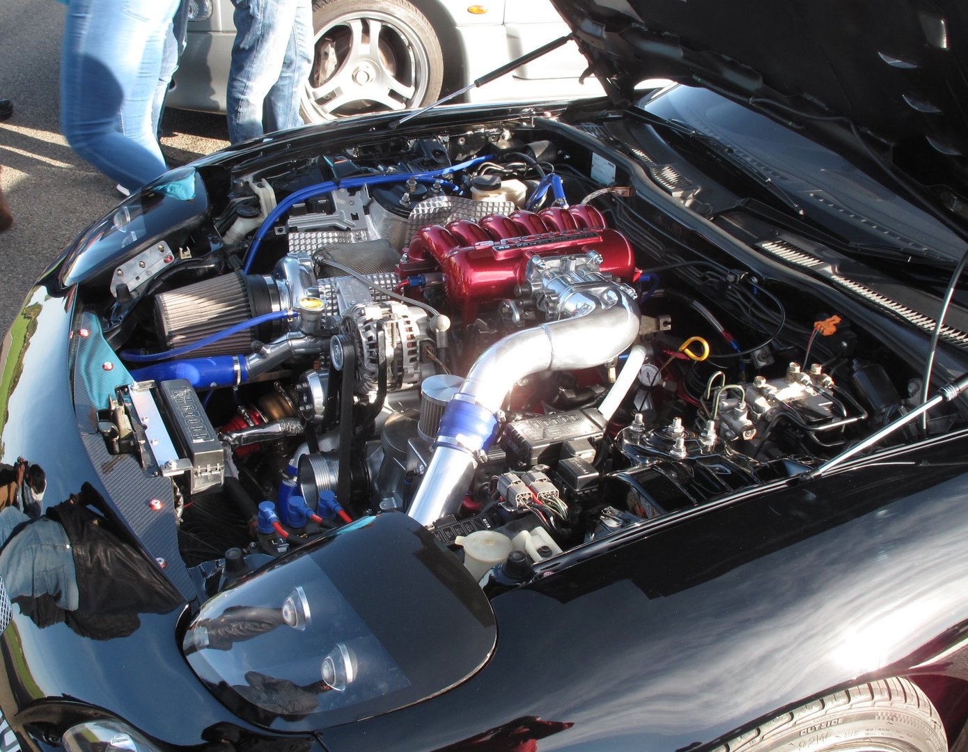 jdm8.jpg