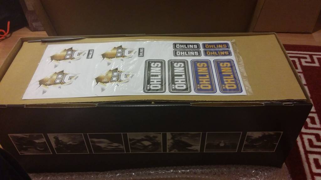 Ohlins dfvs 10.jpg