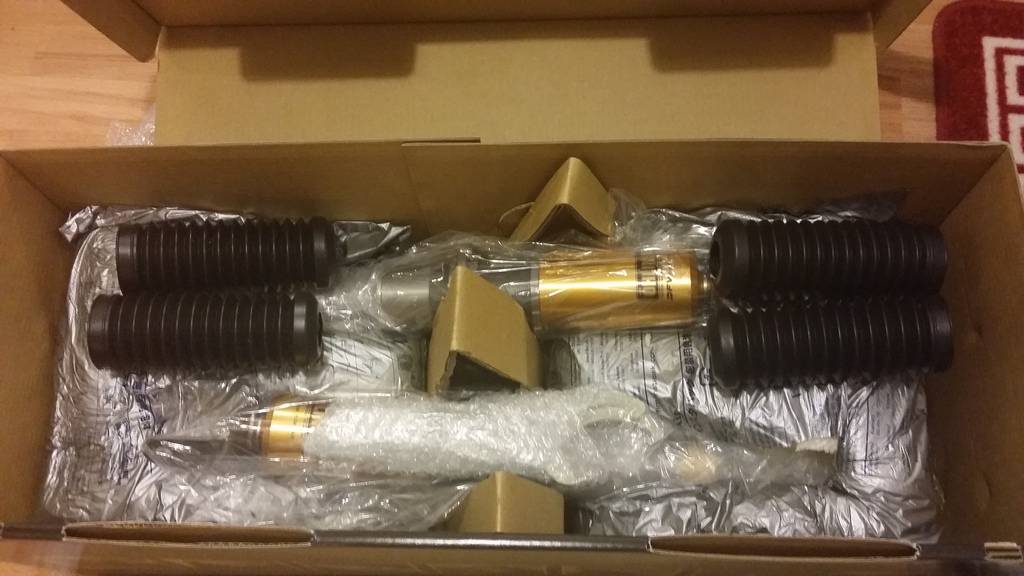 Ohlins dfvs 13.jpg