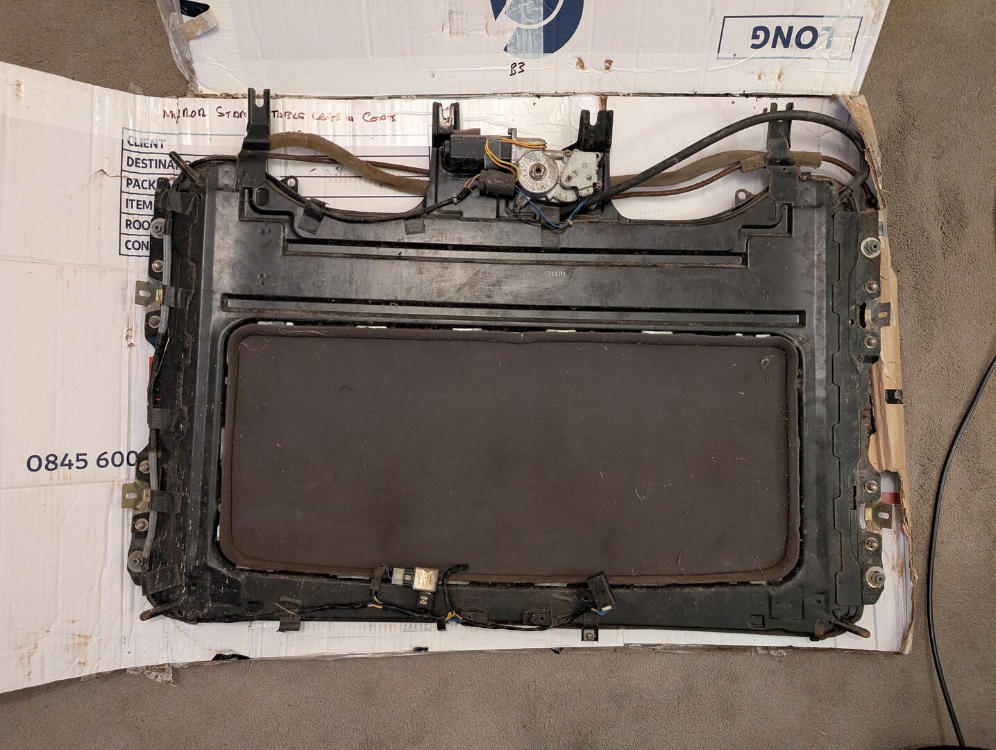 PXL_20250410_213110256.jpg