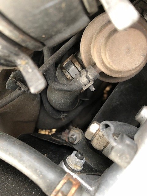 top of the Y pipe.jpg