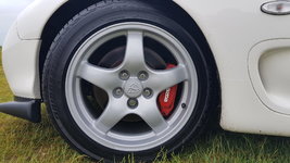 20170629_084741.jpg
