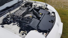 20170629_084919.jpg