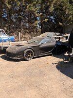 IMG_5951.jpeg